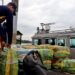 Incautaron en Colombia un semisumergible con 795 kilos de cocaína, el primero de este año