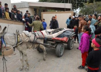 Agencia las Naciones Unidas advierte de riesgo de «focos de hambruna» en Gaza