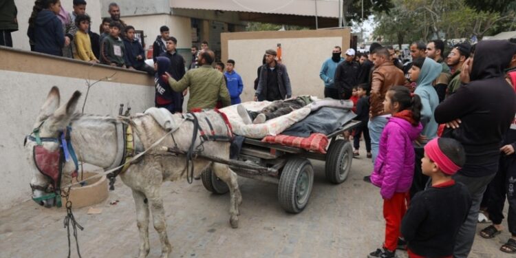 Agencia las Naciones Unidas advierte de riesgo de «focos de hambruna» en Gaza