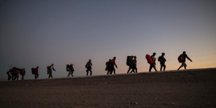 Procesan a colombiano que utilizaba a migrantes para llevar cocaína a EEUU