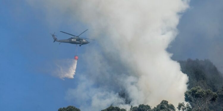 Buscan controlar incendios forestales en zonas protegidas de Bogotá y este de Colombia