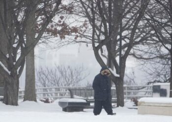 Los ataques de los hutíes sobre cargueros en el Mar Rojo amenazan con socavar una de las principales rutas para el comercio marítimo.