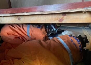 Un perro salva a una anciana en Japón 72 horas después del terremoto (VIDEO)