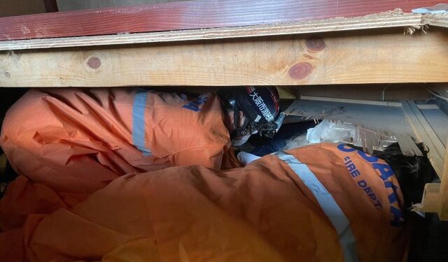 Un perro salva a una anciana en Japón 72 horas después del terremoto (VIDEO)