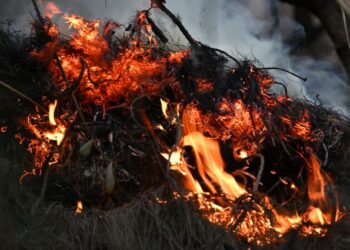 EN FOTOS: Así se ve más de la mitad de Colombia tras los incendios forestales