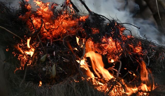 EN FOTOS: Así se ve más de la mitad de Colombia tras los incendios forestales
