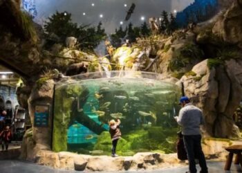 VIDEO: Saltó desnudo a un acuario de una tienda Bass Pro Shop en Alabama y todo terminó mal