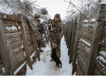 Ucrania levanta barricadas y cava trincheras mientras se centra en la defensa contra la invasión de Rusia