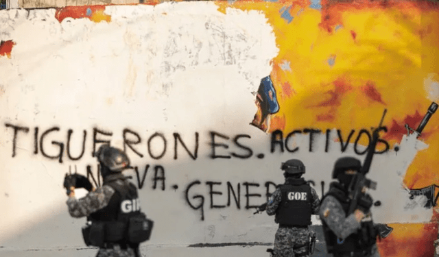 Miembros de peligrosa banda ecuatoriana “Los Tiguerones” maúllan como gatitos tras su captura (Video)