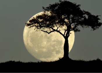 Ritual para atraer el amor y la prosperidad durante la Luna llena de este #25Ene