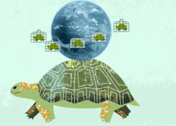 Armando Info: La peculiar “operación morrocoy” de Orinoco Reptiles