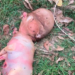 Nace un ternero mutante con cabeza de humano que genera angustia en un pequeño pueblo