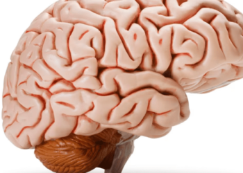 ¿Cómo saber si se tiene bajo el nivel de oxígeno en el cerebro? Estos son los síntomas