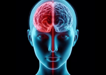 Qué es el síndrome de Estocolmo: el mecanismo de defensa que vincula víctima y victimario