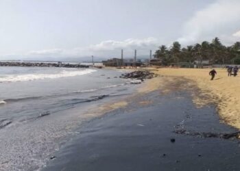 Tras un mes del derrame de petróleo en El Palito, ¿qué se sabe del impacto ambiental?