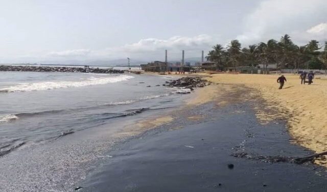Tras un mes del derrame de petróleo en El Palito, ¿qué se sabe del impacto ambiental?