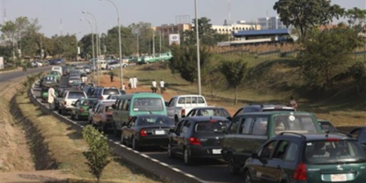 La Florida es uno de los estados del país con mayor incidencia de fatalidades peatonales.