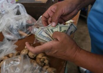 El tabulador del salario mínimo de enero de 2024 que propone el Colegio de Ingenieros de Venezuela