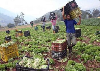 Ganaderos venezolanos denuncian una situación de emergencia por falta de combustible