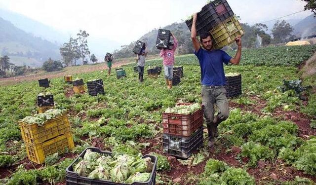 Ganaderos venezolanos denuncian una situación de emergencia por falta de combustible