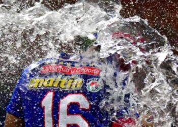 Leones cayeron ante Tiburones y desaparecieron sus opciones de clasificar a la final de la Lvbp