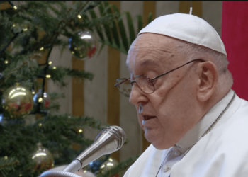 El papa Francisco pide “la prohibición universal” de la maternidad subrogada