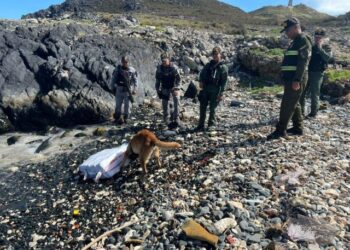 Fanb halló casi 35 kilos de marihuana en el archipiélago Los Roques (FOTOS)