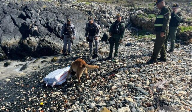 Fanb halló casi 35 kilos de marihuana en el archipiélago Los Roques (FOTOS)