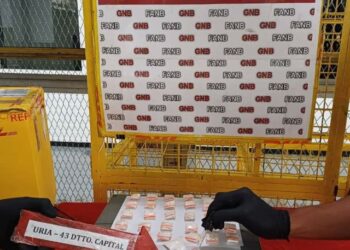 Fanb incautó más de 200 pastillas de éxtasis en un paquete que tenía como destino EEUU