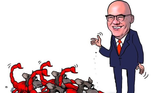 Caricaturas de este miércoles 31 de enero de 2024