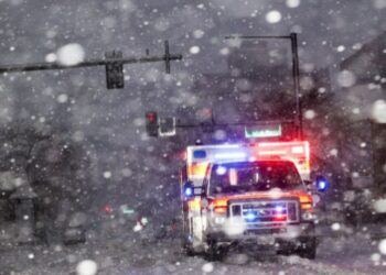 Horror en Carolina del Norte: hallan bebé en un contenedor de basura en medio de frío extremo