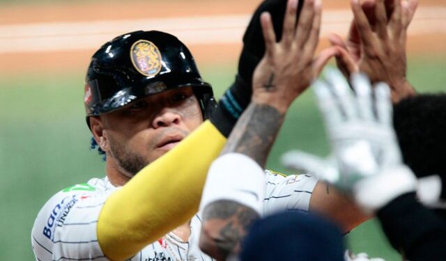 Tiburones y Cardenales eligieron a sus refuerzos para la Gran Final de la Lvbp