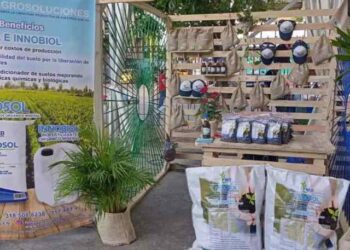 Venezuela’s challenges and opportunities of sustainable development for entrepreneurs in Táchira State