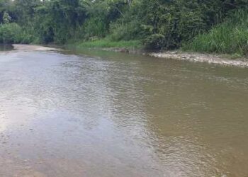 Pollution of the Mucujepe River in Mérida State, in the Venezuelan Andes, causes alarm among the inhabitants of its banks