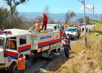 Alarm in Táchira caused by historic increase in vegetation and forest fires