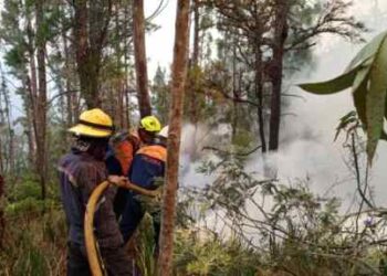 Up to 184 hectares consumed by vegetation fires in Táchira in western Venezuela