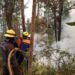 Up to 184 hectares consumed by vegetation fires in Táchira in western Venezuela