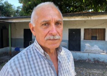 Productores de maíz trabajaron a pérdida en 2023 y este año exigen financiamiento para incrementar rendimiento