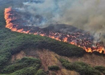 EEUU, Chile, Perú y Canadá enviarán ayuda contra los incendios en Colombia