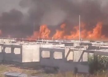 Reportaron voraz incendio de vegetación que afectó a vecinos en Barinas este #25Ene (Video)