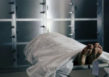 Desarticulan banda criminal en España que robaba cadáveres de hospitales y los vendía a universidades