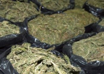 Van casi seis toneladas de marihuana incautadas en el suroeste de Colombia en lo que va de 2024