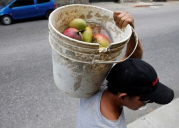 En Tucupita recurren a los mangos en tiempos de “pelazón”