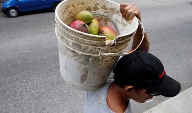 En Tucupita recurren a los mangos en tiempos de “pelazón”