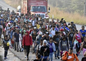 Migrantes pagan miles de dólares por amparos para llegar a la frontera norte de México