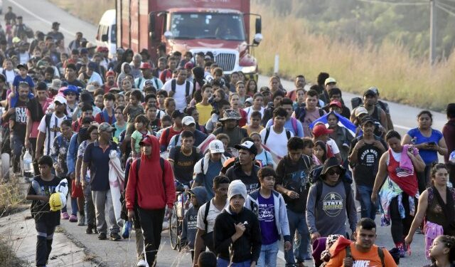 Migrantes pagan miles de dólares por amparos para llegar a la frontera norte de México