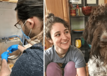 Perro se comió miles de dólares y dejó en shock a sus dueños (FOTO)