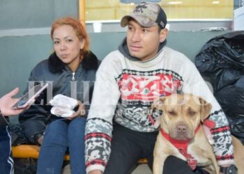 Sansón, el perrito que acompaña y protege a pareja venezolana en su camino hacia EEUU