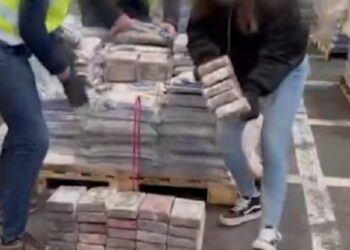 Cae en España una banda acusada de introducir desde Colombia 2,5 toneladas de cocaína