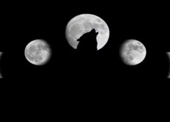 Luna llena de Lobo: cuándo y cómo disfrutar del primer espectáculo astronómico de 2024